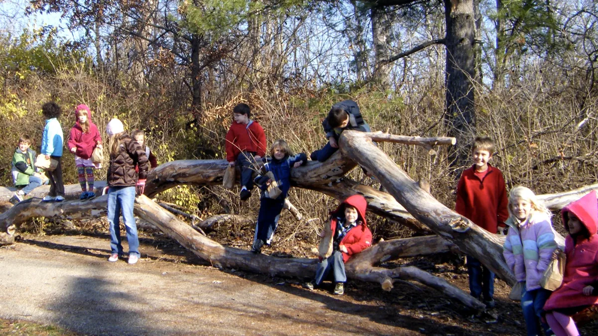 Children sitting and standing on a fallen tree beside a woodland path